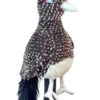 Daphne's Animal Headcovers - Roadrunner -Hot Sale Golf Shop DAPHN ROADRUNNER 2 57913.1622150244