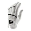 Mizuno Golf Elite Gloves -Hot Sale Golf Shop MIZUN GLOVE ELITE 2 68040.1622150294