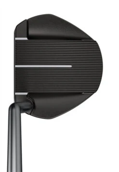 PING Golf 2021 Putters - FETCH -Hot Sale Golf Shop PING 21 FETCH 4 43182.1622150556